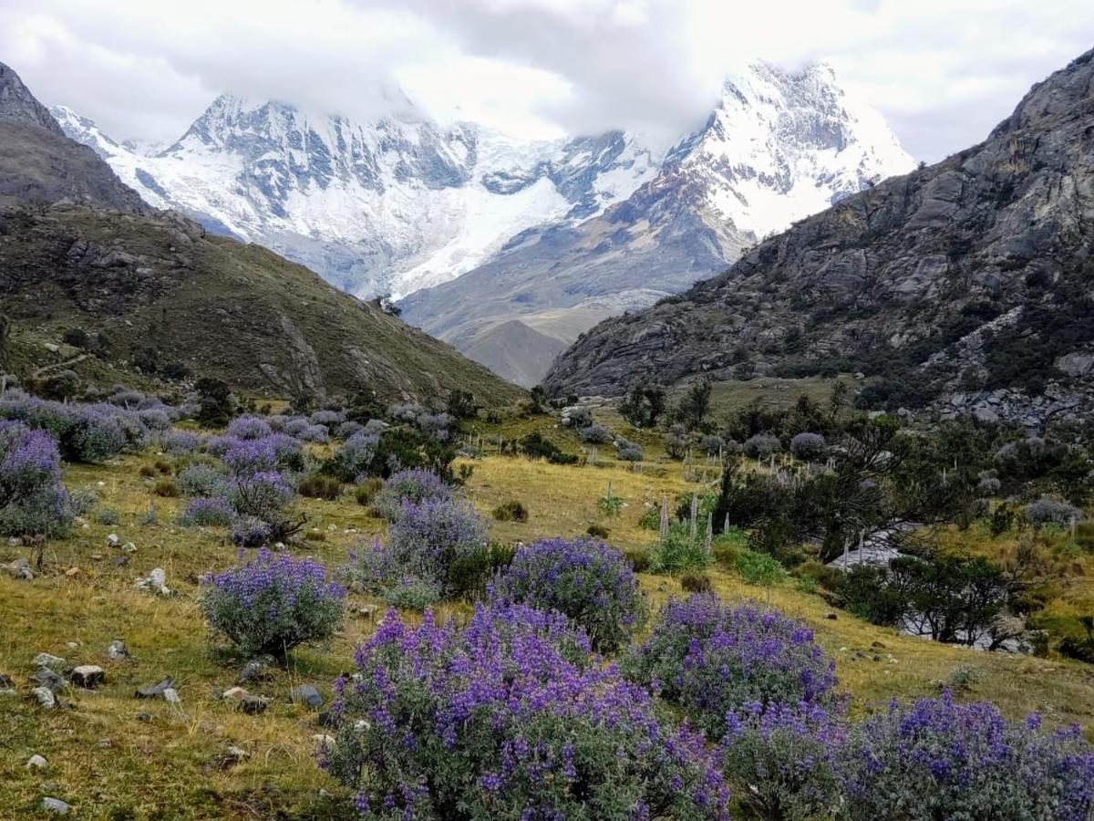 Lhotse Hostel B&B Huaraz  Exteriör bild